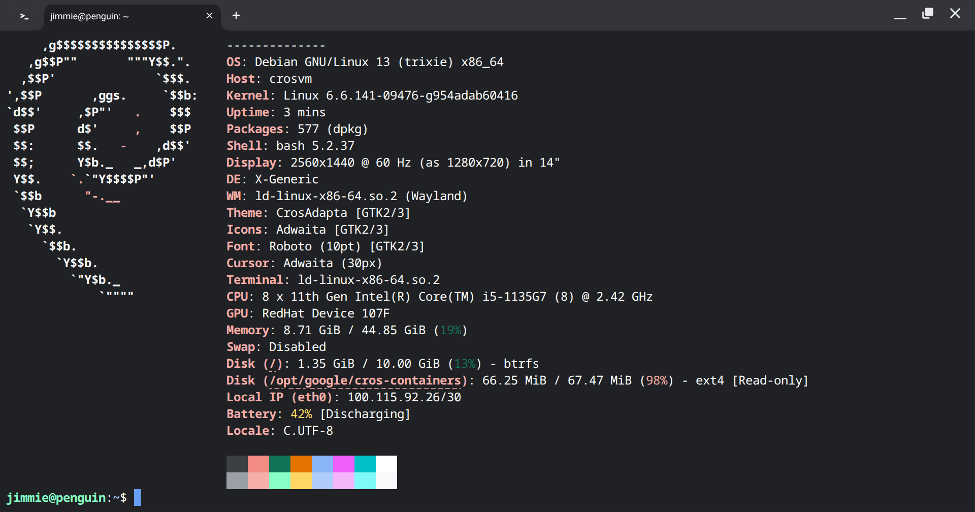 A terminal running fastfetch
